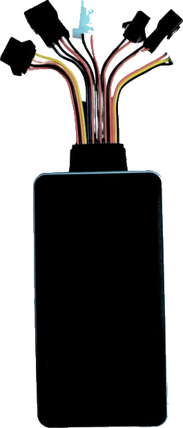 BR06 F