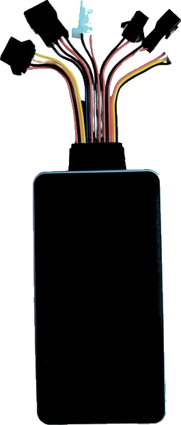 BR06 F